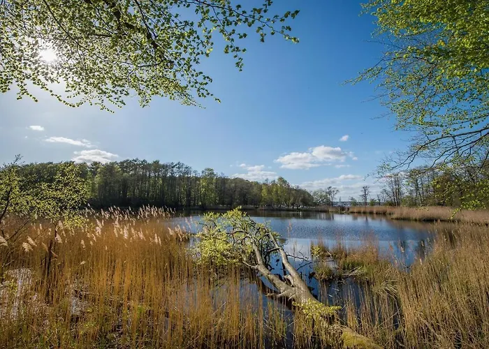 Appartamento Schwitzkowski Glücksburg